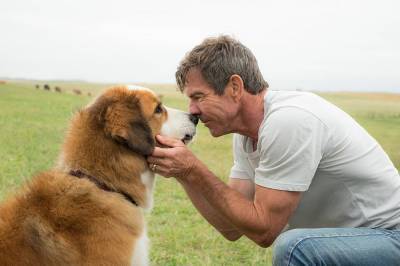 Dennis Quaid Says Controversial Video That Led To Cancellation Of ‘A Dog’s Purpose’ Premiere ‘Was A Scam’ - etcanada.com - Germany