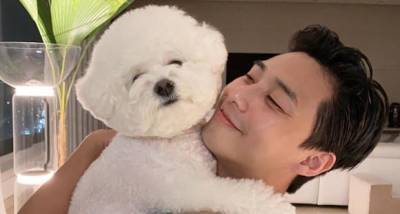 Park Seo Joon shares an adorable video of his dog and Wooga Squad's Park Hyung Sik, Peakboy are all hearts - www.pinkvilla.com