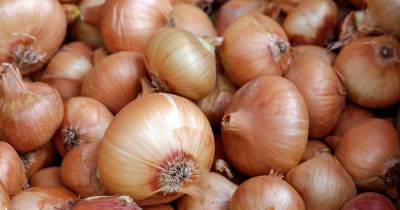 How to store onions in a way that will make them last for a year - using a pair of tights - www.dailyrecord.co.uk
