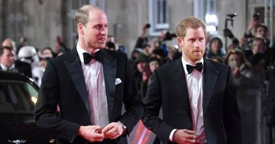 Prince Harry and Prince William Cannot Settle Rift Until They’re in the U.K. Together, Former Royal Press Secretary Says - www.usmagazine.com