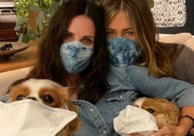 Jennifer Aniston, Courteney Cox And Her Adorable Dogs Demonstrate The Importance Of Wearing Face Masks - etcanada.com