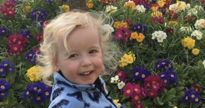 First picture of tragic tot killed in fatal Morningside crash - www.dailyrecord.co.uk