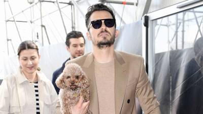 Orlando Bloom Says He Feels 'Powerless' In Emotional Post About Lost Dog Mighty - www.etonline.com