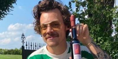 Harry Styles Debuted His Latest Hair Quarantine Facial Hair Look: a Mario Mustache - www.elle.com - Italy