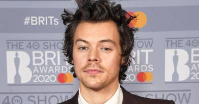 Harry Styles Finally Debuts ‘Mario Mustache’ After Tweeting That He Wanted One 9 Years Ago - www.usmagazine.com
