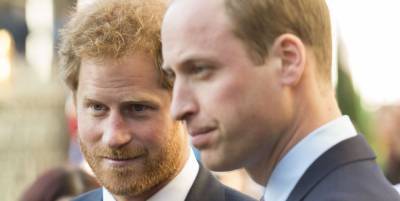 Prince Harry's Reps Shut Down Claims of Mishandling Sussex Royal and Royal Foundation Funds - www.harpersbazaar.com