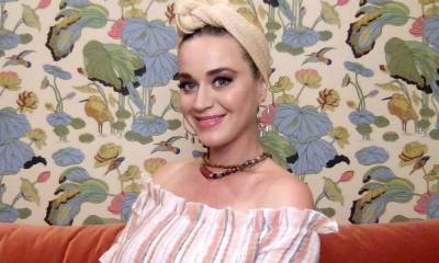 Katy Perry delights fans with latest baby update amid Orlando Bloom's search for dog Mighty - hellomagazine.com - USA