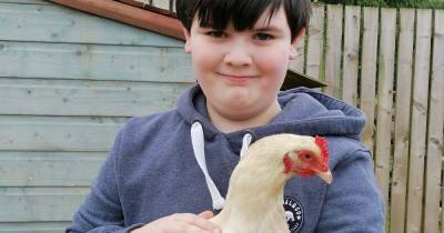 Mum's therapy pet appeal for autistic son - www.dailyrecord.co.uk