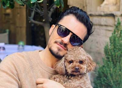 Orlando Bloom confirms beloved dog Mighty’s sad fate after tireless search - evoke.ie