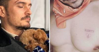 Orlando Bloom confirms his missing dog Mighty is dead as actor gets sweet tattoo tribute - www.ok.co.uk