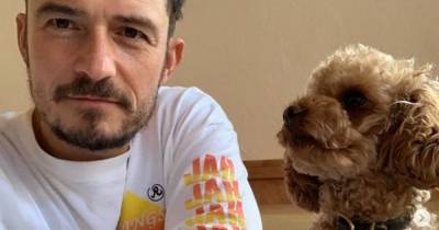 Orlando Bloom confirms missing dog is dead and pays tribute with new tattoo - www.dailyrecord.co.uk