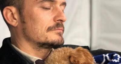 Orlando Bloom gets a tattoo in honour of his dog Mighty’s passing: He was more than a companion - www.pinkvilla.com
