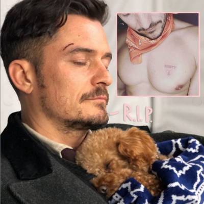 Orlando Bloom Reveals Beloved Dog Mighty Has Died After Going Missing — See The Heartbreaking Tribute - perezhilton.com - California - Santa Barbara