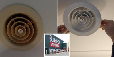 Bunnings cleaning hack: mum shares genius way to have your roof sparkling clean! - www.lifestyle.com.au