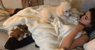 Selena Gomez's pals flood the internet with UNSEEN photos of the singer; Reveal she's the ultimate dog mamma - www.pinkvilla.com