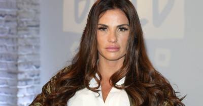 Katie Price in animal cruelty row after puppy crushed to death in electric armchair - www.dailyrecord.co.uk - France - county Price