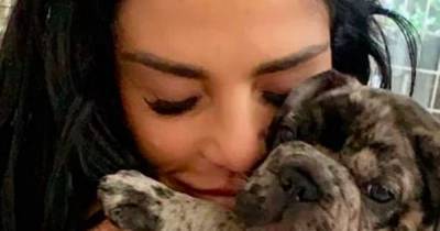 Katie Price begs trolls to stop cruel comments and asks for respect after puppy Rolo’s tragic death - www.ok.co.uk