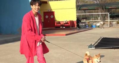 BTS Bangtan Bomb: Jungkook's bonding time with a dog on Boy With Luv sets shows off Kookie's playful side - www.pinkvilla.com