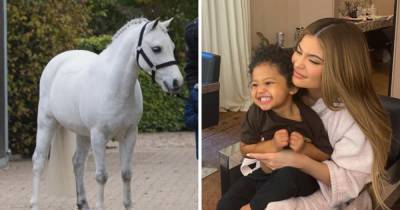 Kylie Jenner buys daughter Stormi a $200,000 pony from The Netherlands called Frozen - www.ok.co.uk - Netherlands