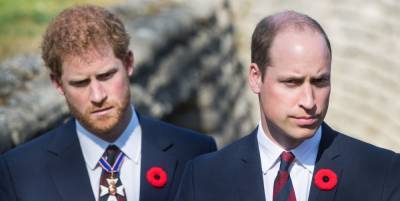 Prince William and Prince Harry Are Now "Separate Entities," New Book Claims - www.marieclaire.com