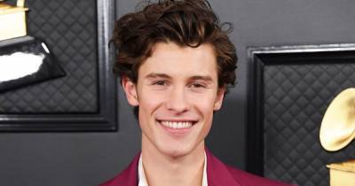 Shawn Mendes Gets Tattoo Dedicated to 16-Year-Old Sister Aaliyah Mendes — See His New Ink! - www.usmagazine.com