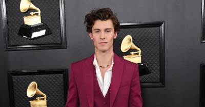 Shawn Mendes gets tattoo honoring younger sister - www.wonderwall.com