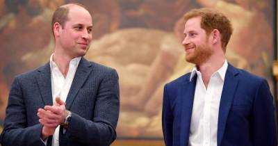 Prince William and Harry's strong brotherly bond before 'rift' saw Harry 'gift' William Princess Diana’s engagement ring - www.ok.co.uk