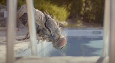‘Mandibules’ Teaser Trailer: A Giant Fly Drinks From A Pool In This Glimpse of Quentin Dupieux’s Weird, Venice Bound Film - theplaylist.net