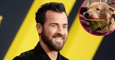Justin Theroux Gives Dog Kuma a ‘Watermelon Lesson’ as He Teaches Her to Eat the Fruit - www.usmagazine.com