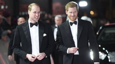 Prince Harry Once Wanted Archie to Be ‘Best Friends’ With Prince William’s Kids - stylecaster.com