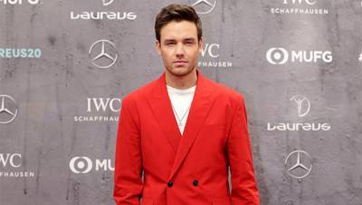 Liam Payne Shows Off Wild Quarantine Beard While Trying To ‘Chat’ With Harry Styles On TikTok— Watch - hollywoodlife.com