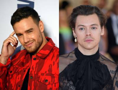 Liam Payne Posts Hilarious TikTok Video With Harry Styles And Fans Are Freaking Out – Did They Just Tease Their Reunion? - celebrityinsider.org