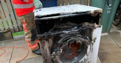 Firefighters rescue two parrots from house after washing machine blaze - www.manchestereveningnews.co.uk