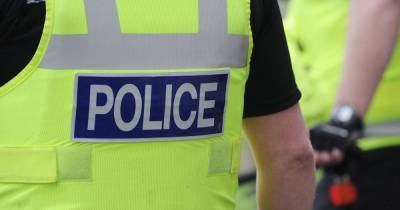 Police seize £23k cannabis haul, baseball bat and baton in Dundee raid - www.dailyrecord.co.uk