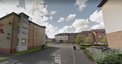 Hunt for firebugs after two luxury cars torched in early morning blaze outside flats - www.dailyrecord.co.uk - Scotland
