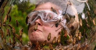 I'm a Celebrity... Get Me Out Of Here will go ahead in 2020, ITV confirms - www.msn.com - Australia - Scotland