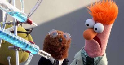 Muppets Now! review: An entertaining but inconsistent return for the beloved troupe - www.msn.com
