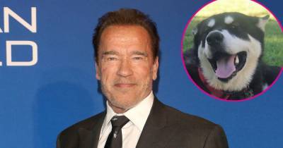 Arnold Schwarzenegger Introduces His New Dog Dutch — Named After His ‘Predator’ Character - www.usmagazine.com - Netherlands