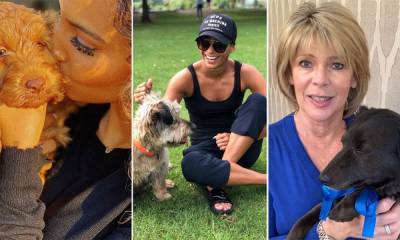 11 celebrities living in lockdown with their adorable pets - hellomagazine.com