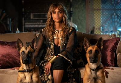 Halle Berry Says She’ll Portray A Trans Man For Her Next Role: “I Want To Experience That World” - theplaylist.net