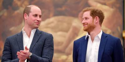 Prince William and Prince Harry Have Agreed to Split Proceeds from Princess Diana's Memorial Fund - www.cosmopolitan.com