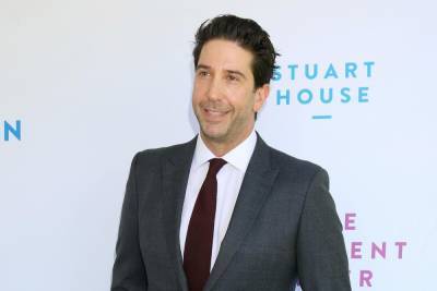 David Schwimmer hoping Friends reunion can still go ahead with live audience - www.hollywood.com