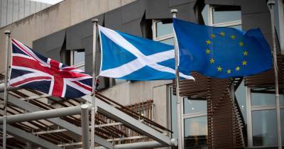 EU will be open to letting independent Scotland join trading block claims expert - www.dailyrecord.co.uk - Britain - Scotland - Eu