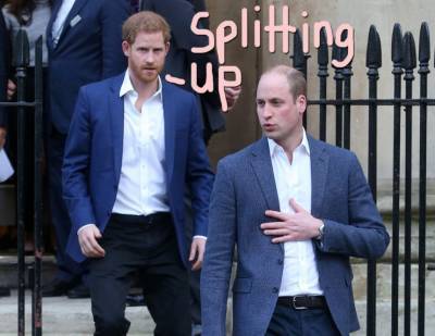 Prince Harry & William Agree To Split Up Princess Diana’s Memorial Fund - perezhilton.com