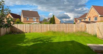 Scots couple who spent £22,000 life savings on garden ordered to turn it back into wasteland - www.dailyrecord.co.uk - Scotland