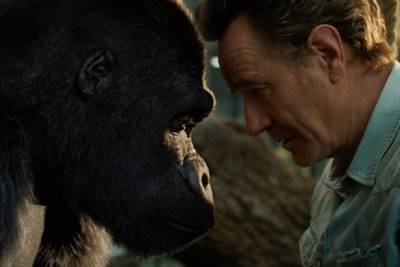 Bryan Cranston’s Best Friend Is a Very Artistic Gorilla in Trailer for Disney+ Movie ‘The One and Only Ivan’ (Video) - thewrap.com - county Bryan