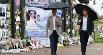 Prince William and Prince Harry divide Princess Diana’s memorial fund assets? Find Out - www.pinkvilla.com