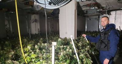 Huge £2m cannabis farm found near Strangeways - www.manchestereveningnews.co.uk - Manchester