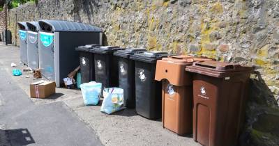 Petition calling for Stirling Council to rethink bin uplift cuts may be ignored - www.dailyrecord.co.uk