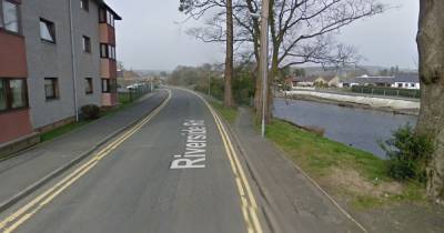 Woman needed stitches on her face after vicious dog attack in Dumfries - www.dailyrecord.co.uk - county Newton